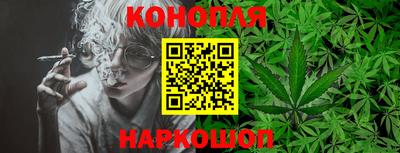сатива Бузулук