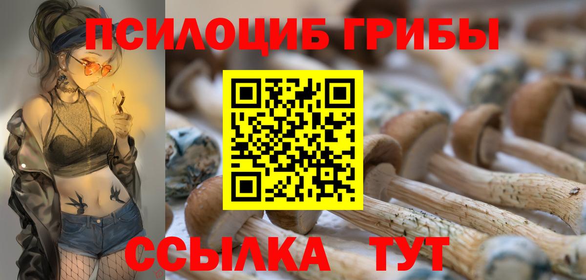 Псилоцибиновые грибы ЛСД  Псилоцибиновые грибы прущие грибы  Вход с VPN  Топки 