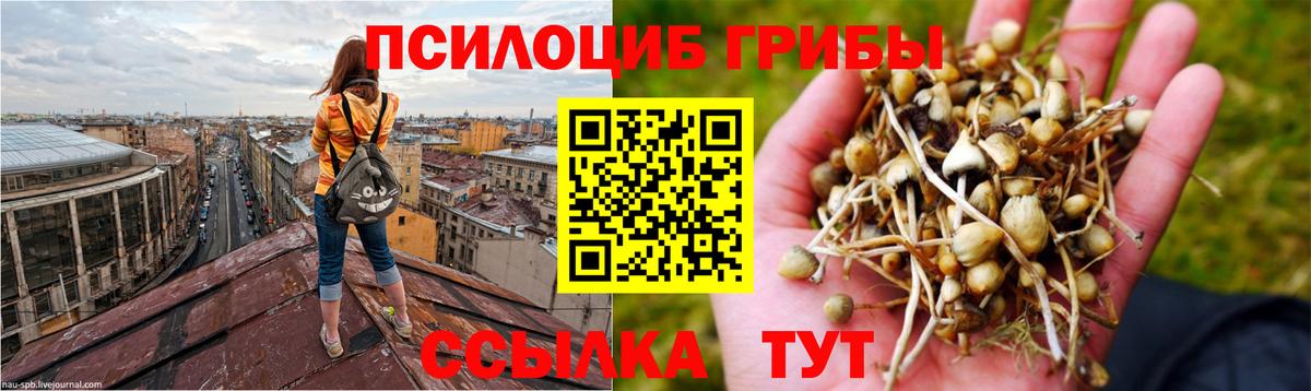 Галлюциногенные грибы мицелий Топки